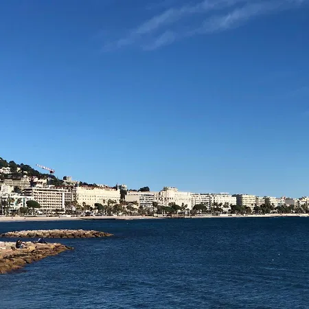Apartment Brand New In The Heart Of Cannes